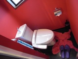 トイレは今回も気合入っております。